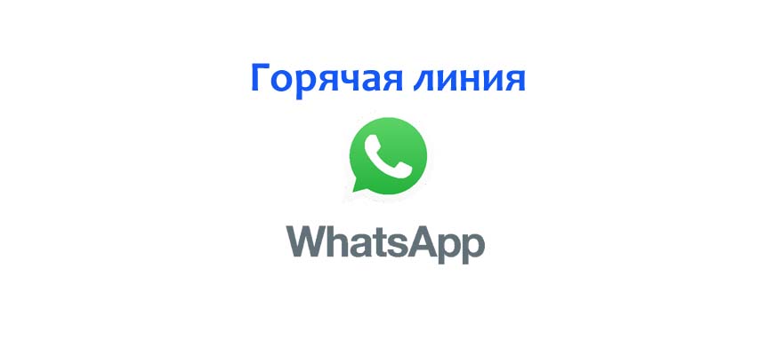 Горячая линия WhatsApp