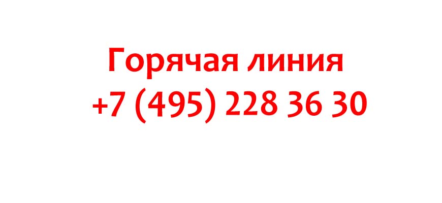 служба поддержки автотека номер телефона