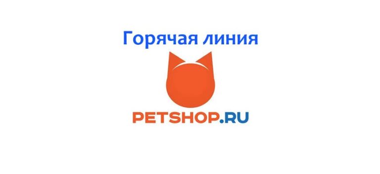 Петшоп приложение не работает